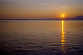 Fra gli Ulivi del Garda.